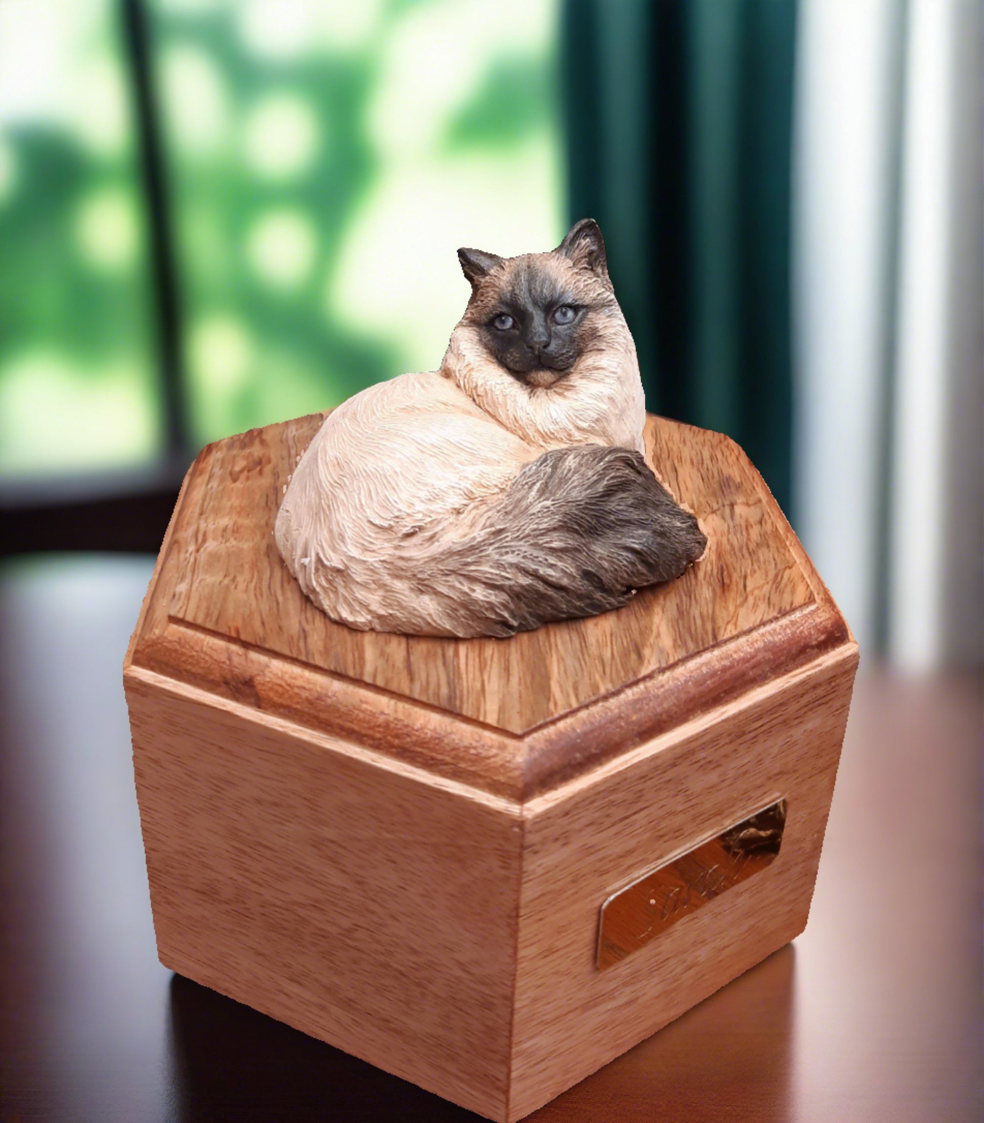 Seal point ragdoll cat lying on a wooden cremation urn