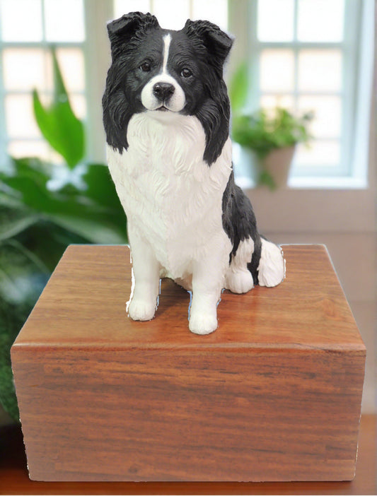 Cremation urn for border collie dog